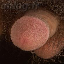 Sexe d'homme en gros plan